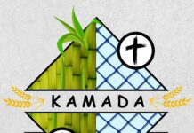 The Diocesan Pastoral Assembly: Diocese of San Carlos