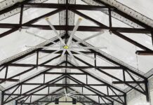 A Celebration of Light: Honoring the Feast of the Lady of Candles and World Day of Prayer for Consecrated Life