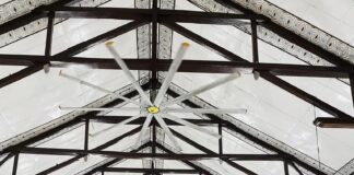 A Celebration of Light: Honoring the Feast of the Lady of Candles and World Day of Prayer for Consecrated Life