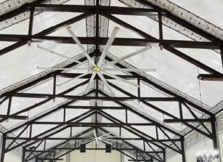 A Celebration of Light: Honoring the Feast of the Lady of Candles and World Day of Prayer for Consecrated Life