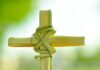 Palms Waving, Hearts Open: Celebrating Palm Sunday with the Catholic Community