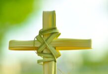 Palms Waving, Hearts Open: Celebrating Palm Sunday with the Catholic Community