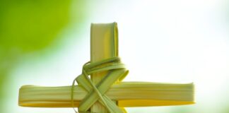 Palms Waving, Hearts Open: Celebrating Palm Sunday with the Catholic Community