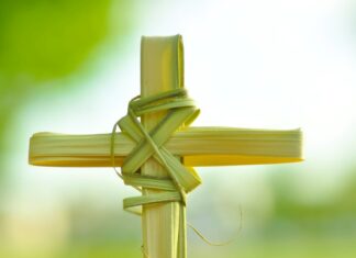 Palms Waving, Hearts Open: Celebrating Palm Sunday with the Catholic Community