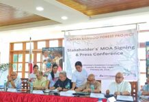 Collaborative Commitment for Environmental Conservation: The Caritas Bamboo Forest Project