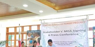 Collaborative Commitment for Environmental Conservation: The Caritas Bamboo Forest Project