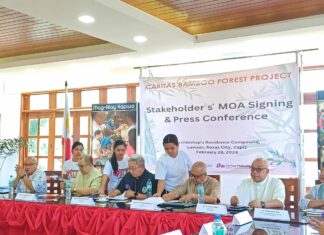 Collaborative Commitment for Environmental Conservation: The Caritas Bamboo Forest Project
