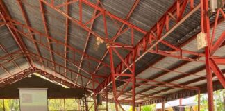 Vicariate Assembly:Gather for Synod ConsultationVicariate Assembly: