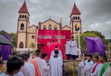 Diocese of San Carlos Celebrates Palm Sunday with Hope and Reflection