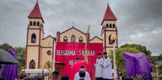 Diocese of San Carlos Celebrates Palm Sunday with Hope and Reflection