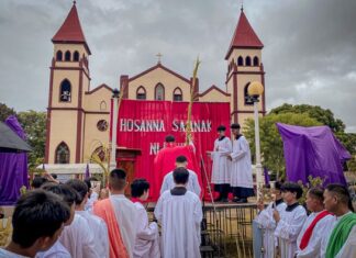Diocese of San Carlos Celebrates Palm Sunday with Hope and Reflection