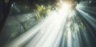 The Spiritual Gateway: Exploring the Importance of Baptism