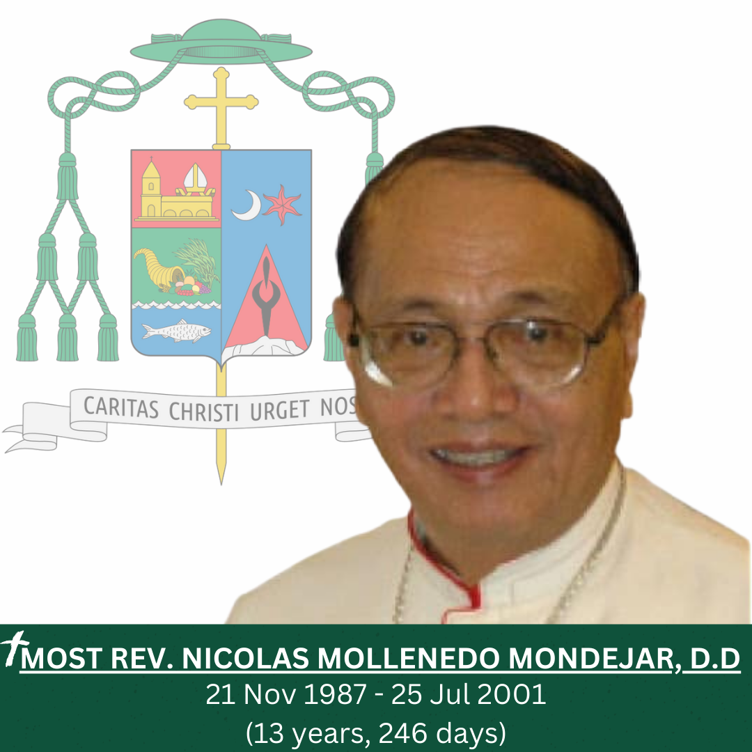 Eucharistic Celebration Mass Catholic Church Post Instagram (1)